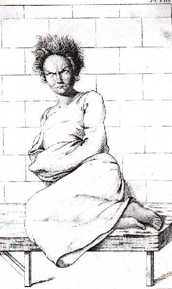 Dibu1.jpg (30625 bytes)