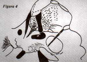 f04.jpg (11594 bytes)