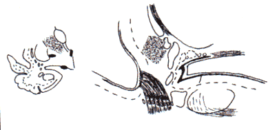 wpe31.gif (8428 bytes)